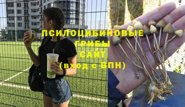 a pvp Осташков